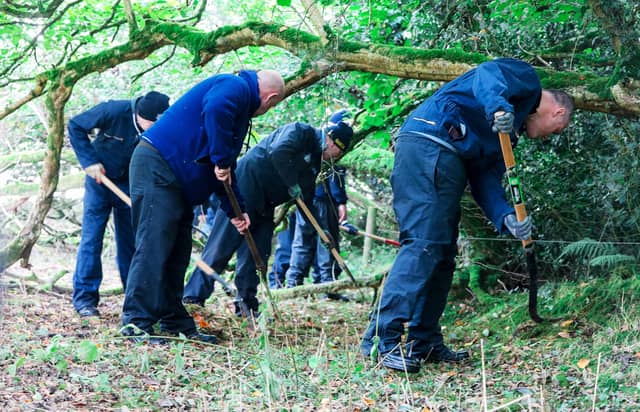 Gardaí searching the wood on the Kildare/Wicklow border on Monday / PHOTO: AISHLING CONWAY