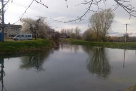 The Canal Harbour, Naas