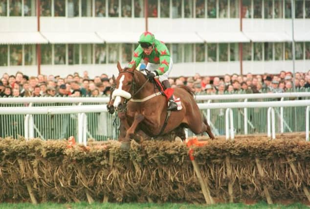 Dorans Pride at Cheltenham in 1995