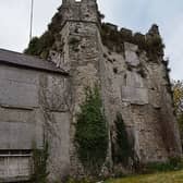 St David's Castle, Naas
