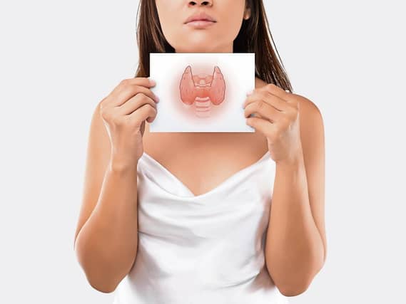 The thyroid hormone helps control the speed of your metabolism