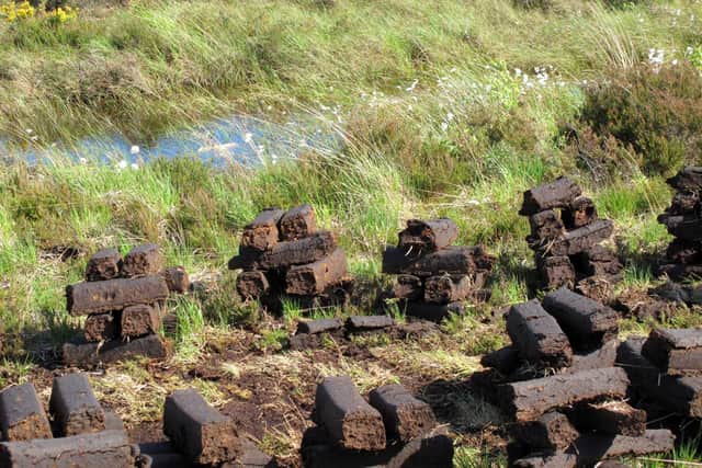 They talk about getting one’s sea legs, but there’s many a sailor would get it hard to balance on a buckrake at the back of a tractor going across the bog.