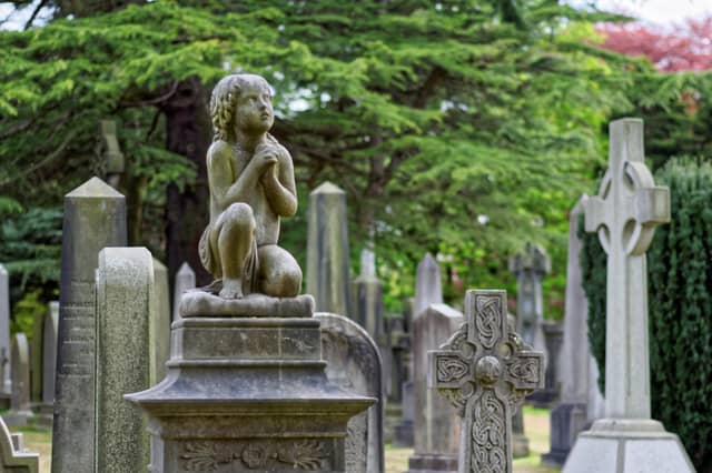 Mayor in Kildare questions why people feel the need to drive in cemeteries