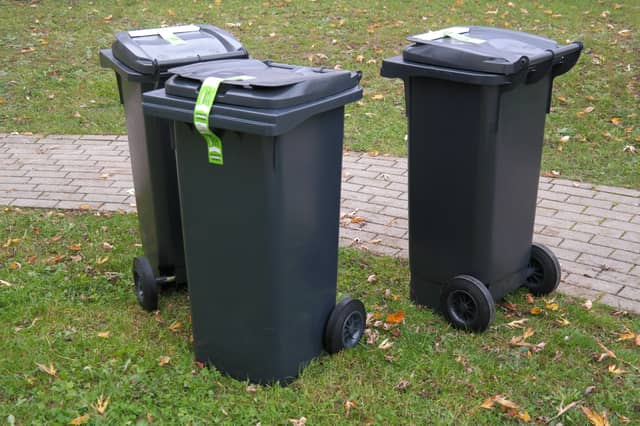 'Growing issue': Wheelie bins are being left out on this Kildare street