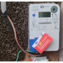 The bees in the electricity meter box 