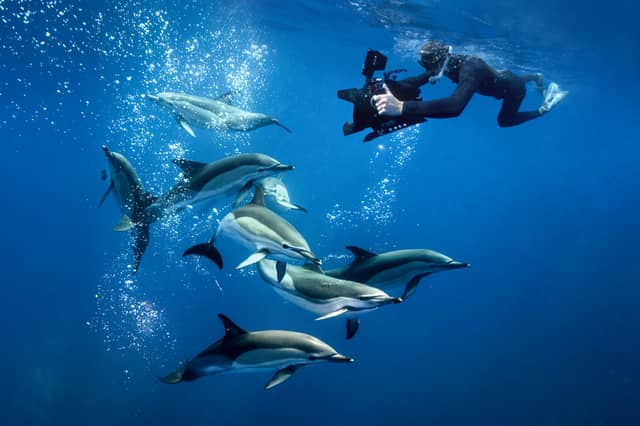 Award-winning underwater filmmaker to bring new show to Kildare entertainment venue