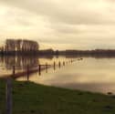 Call for action in relation to flooding near Kildare-based GAA club