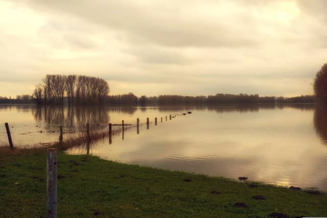 Call for action in relation to flooding near Kildare-based GAA club