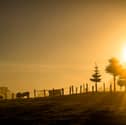 Kildare motorists urged to be cautious of sun's impact on visibility
