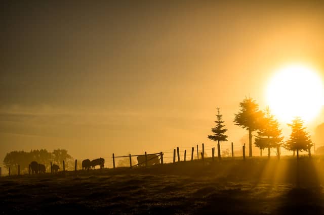 Kildare garda urges motorists to be cautious of sun's impact on visibility