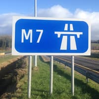 Kildare animal charity rescues stricken swan near motorway
