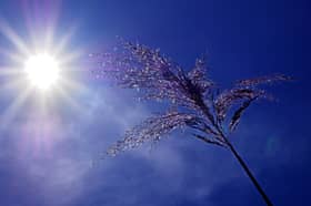 UPDATE: Mét Eireann issues new Weather Advisory Alert for Kildare