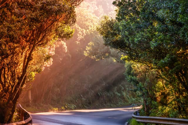 Public roads survey sought for this Kildare MD