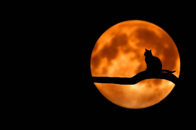 A 'doom' with a view: Well-known Kildare location to be included in Halloween festival