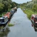 Claim that littering continues to plague canal in Kildare