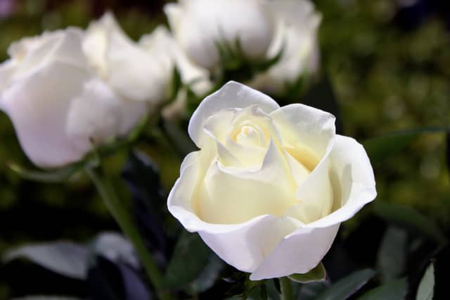 Kildare Death Notices for Thursday, September 10, 2026