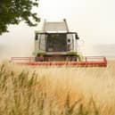 Kildare applicants sought for scheme that aims to help farmers 'in relevant supply chains'