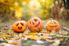 Pumpkin decorating competition for children coming soon to Kildare