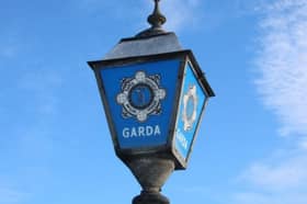 Suspected car drive-off theft in Kildare leads to garda probe