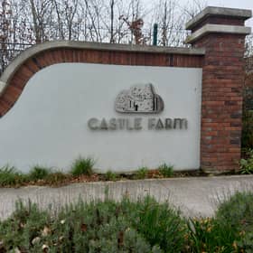 Castle Farm, Naas
