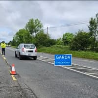 Gardai seize four vehicles in this Kildare town