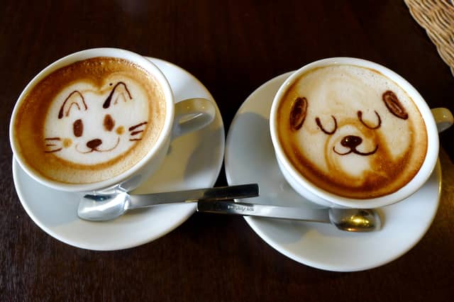 Well-known Kildare pub to host coffee and social morning fundraiser