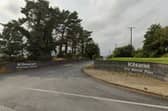 The Kilsaran plant outside Kilcullen