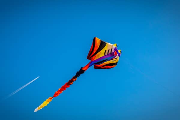 'Kites Not Frights' Halloween event aims to raise funds for Gaza