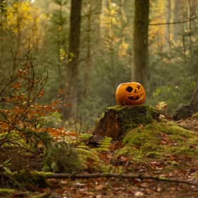 Kildare garda issues safety reminder ahead of Halloween 2026