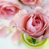 Kildare Death Notices for today: Thursday, October 29 2026