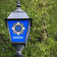 Gardaí in Kildare probing theft of car from housing estate