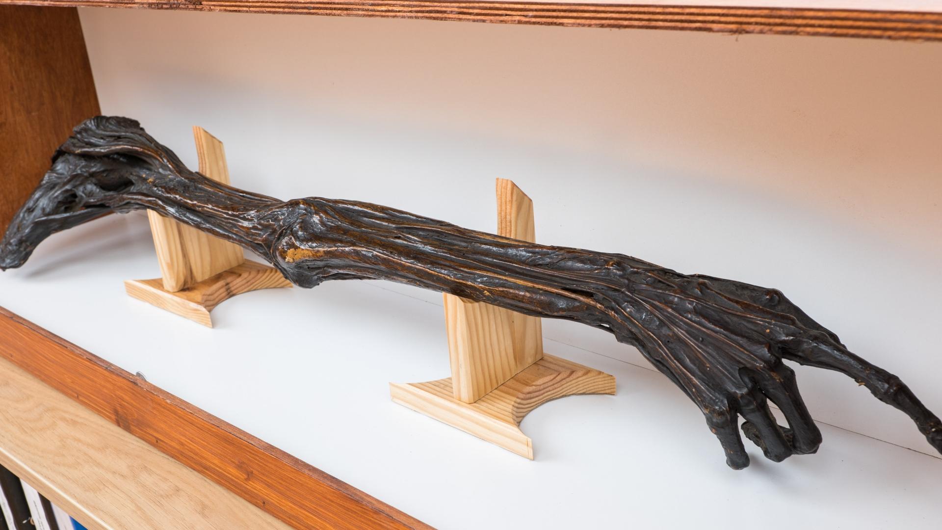 1567084174257.jpg--.jpg?1567084176000