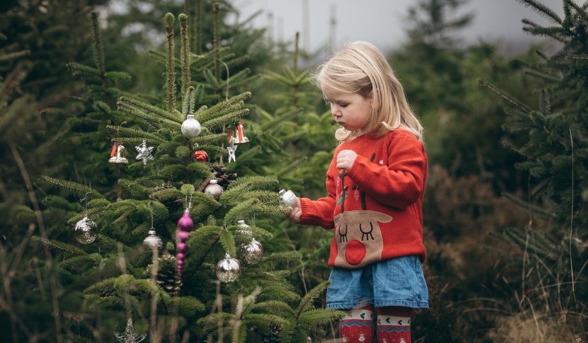 PHOTO GALLERY The magic of Christmas in Kildare Photo 1 of 18