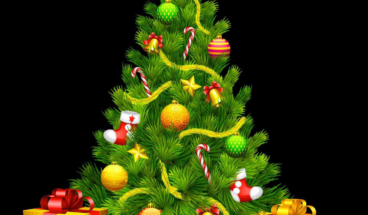 Christmas tree recycling in Kildare Kildare Live