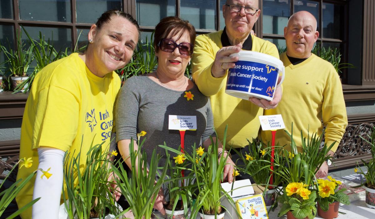PHOTO GALLERY Daffodil Day across Kildare Photo 1 of 6 Kildare Live