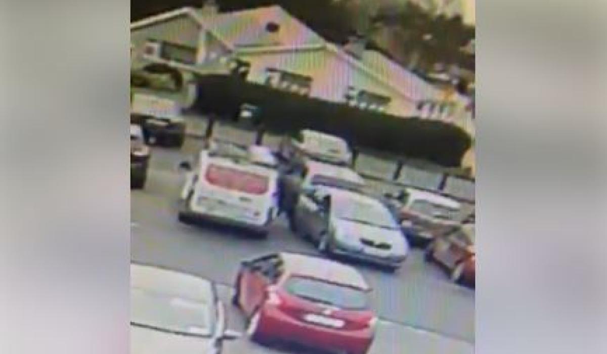 WATCH CCTV shows business van robbed in Kildare in broad daylight