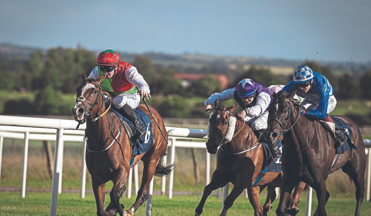 Kildare Horse Racing Gary Carroll continues great run of form in