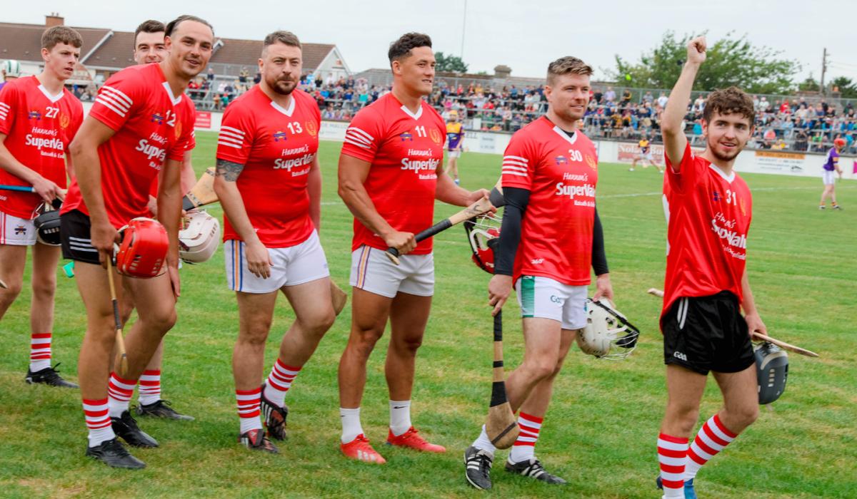 PHOTO GALLERY Even more celebrity snaps and action from Hurling from