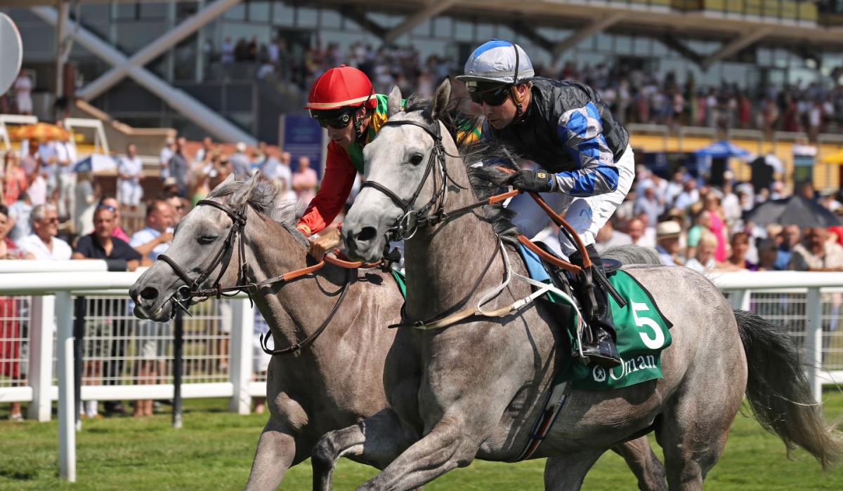 Kildarebased equine company partners with The Saudi Cup 2023 Kildare