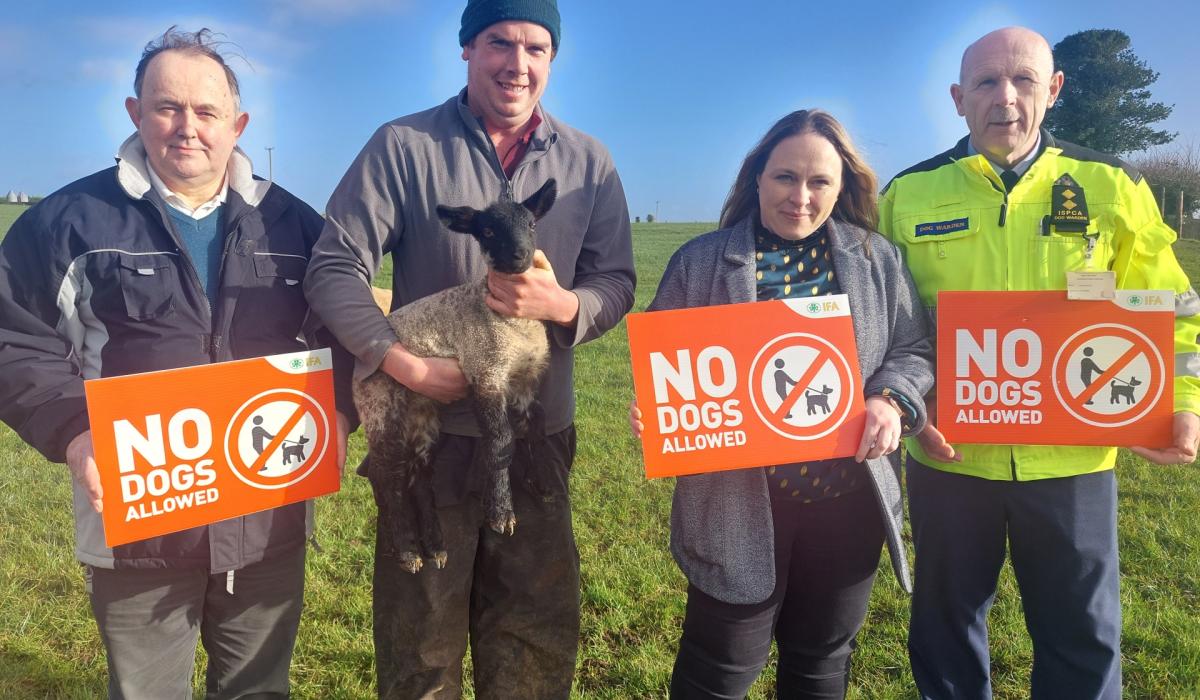 KILDARE Kildare farmer had to climb tree to escape attacking