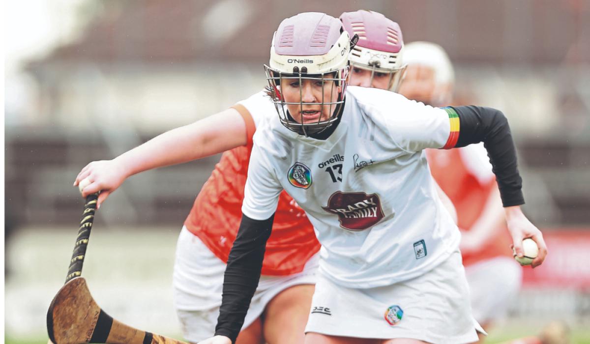 Kildare camogie players fall far short against experienced Armagh side