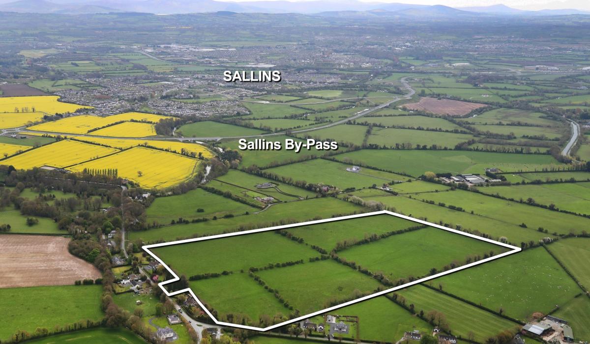 KILDARE PROPERTY WATCH Superb 42 acre land holding at Millicent