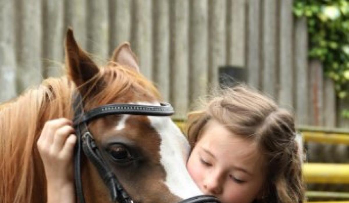 Animal welfare group to hold fashion show in wellknown Kildare hotel