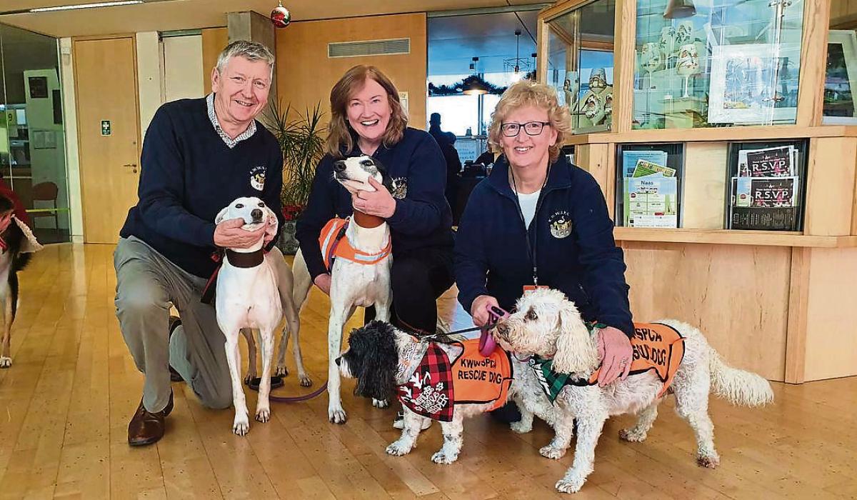 KILDARE ANIMALS IN NEED Council staff raise €1,000 for KWSPCA