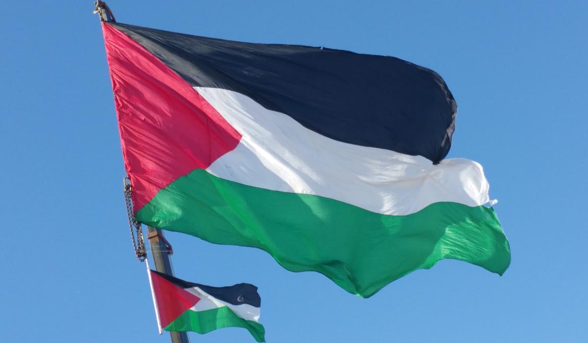 Kildare County Council can't ban Israeli goods