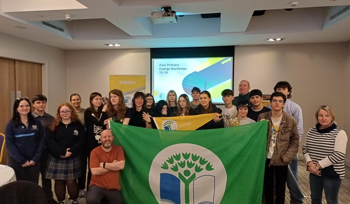 Kildare school attends energy-saving workshop