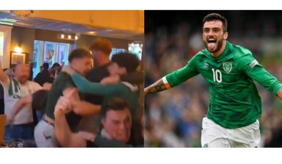 'The place just went ballistic'- Irish fans 'still buzzing' from Ireland V Hungary game