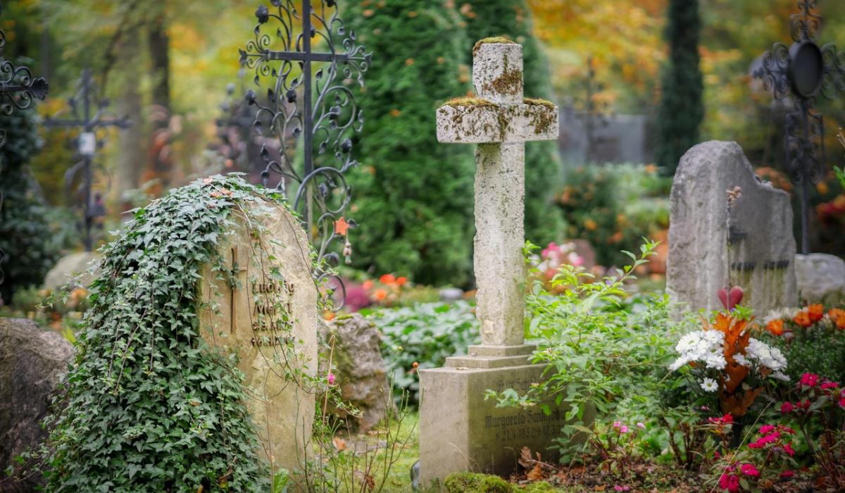 Investment details for Kildare-based cemetery revealed