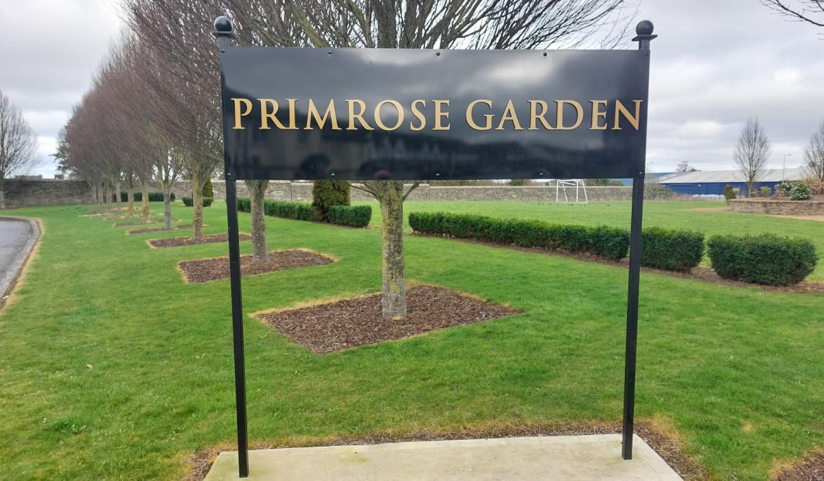 Works planned before this Kildare estate is taken in charges