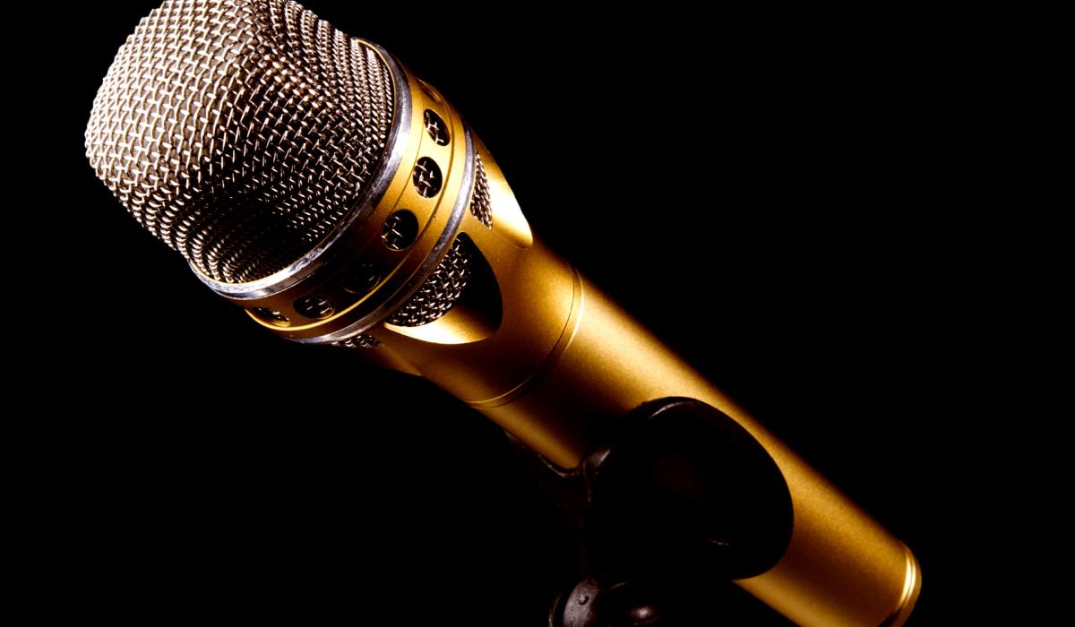 Kildare student reaches regional final in ActionTalks speech writing competition